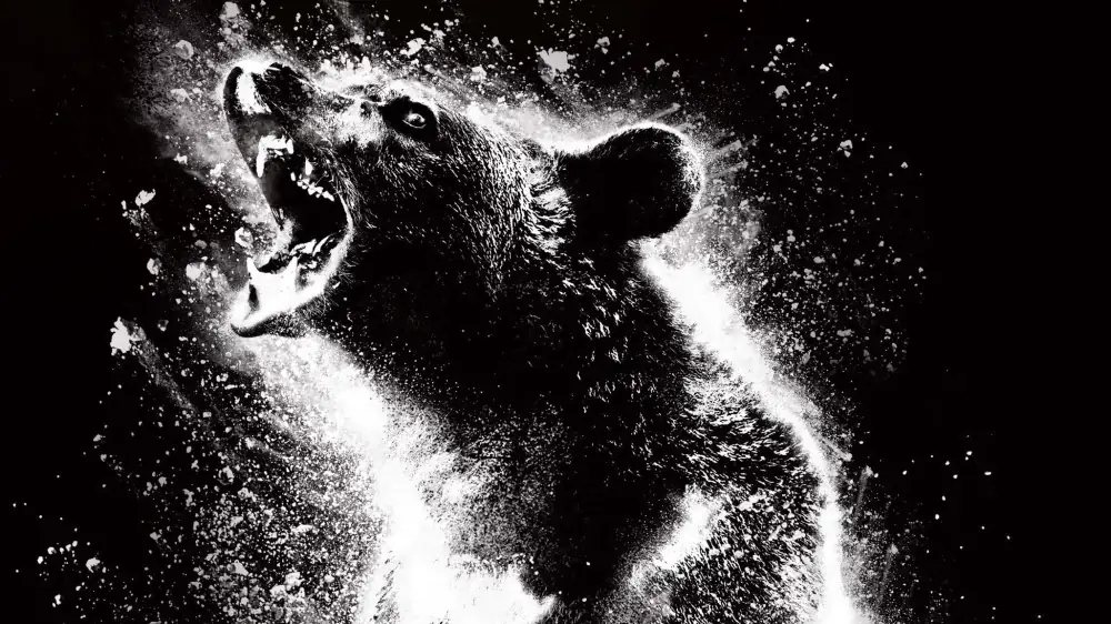 Assistir Urso do Pó Branco