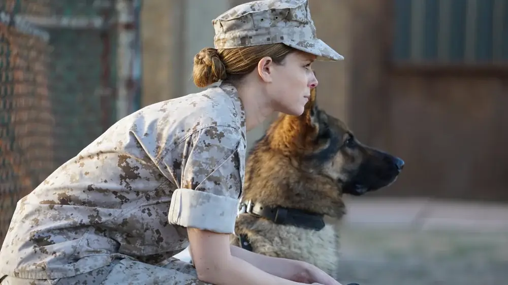 Assistir Megan Leavey