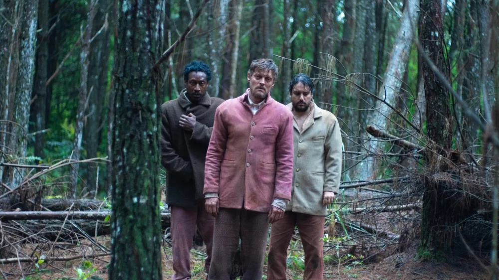 Assistir A Própria Carne