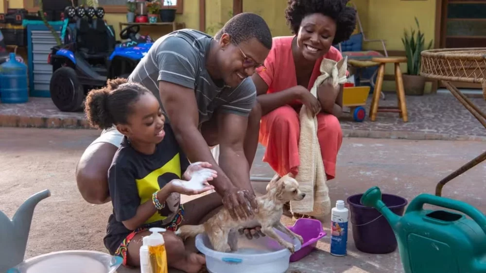 Assistir O Roubo do Cão